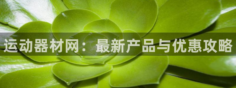 k1体育官网下载招商电话号码：运动器材网：最新产品与优惠攻略