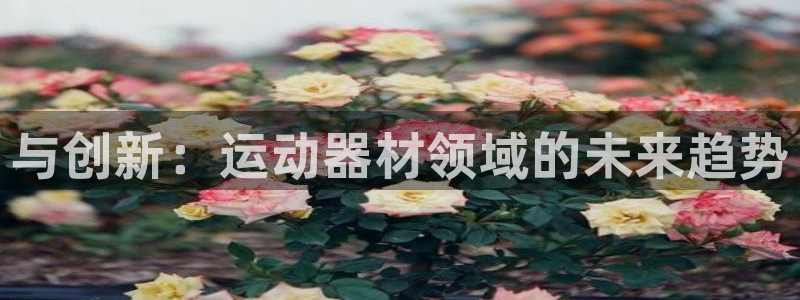 k1体育官网下载招商电话地址：与创新：运动器材领域的未来趋势