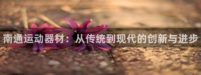 k1体育官方正版app集团简介：南通运动器材：从传统到现代的