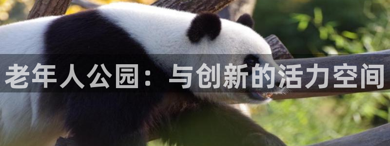 k1体育官方正版app科技：老年人公园：与创新的活力