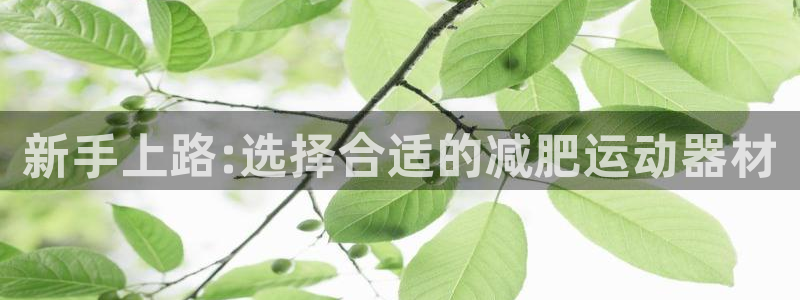 k1体育官网下载平台注册要钱吗安全吗：新手上路:选择合适的减