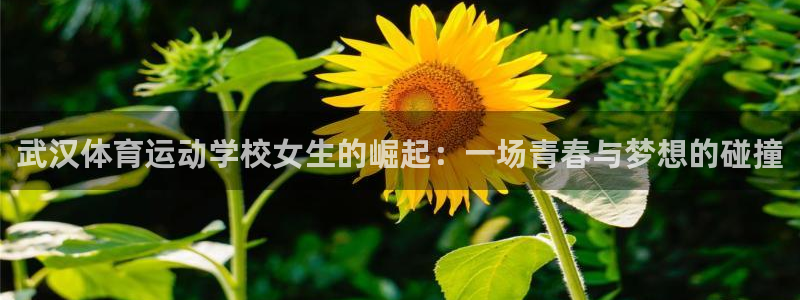 三亿体育登录：武汉体育运动学校女生的崛起：一场青春与梦想的碰撞