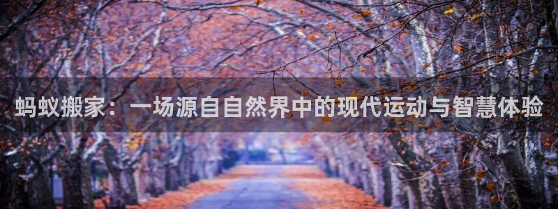 三亿体育网页版：蚂蚁搬家：一场源自自然界中的现代运动与智慧体验