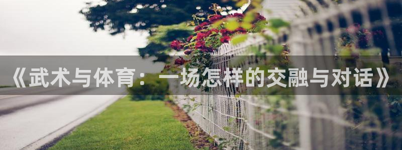 三亿体育：《武术与体育：一场怎样的交融与对话》