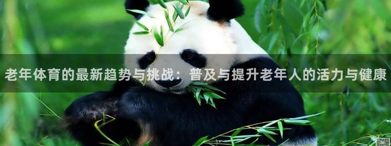 三亿体育：老年体育的最新趋势与挑战：普及与提升老年人的活力与健康
