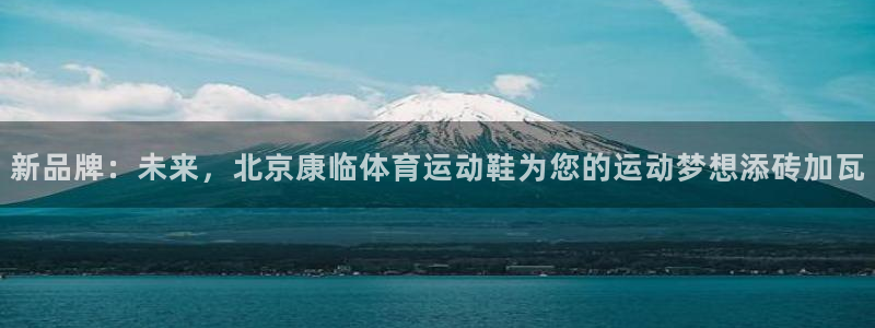 三亿体育登录：新品牌：未来，北京康临体育运动鞋为您的运动梦想添砖加瓦