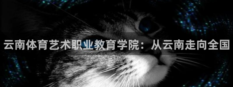三亿体育登录：云南体育艺术职业教育学院：从云南走向全国