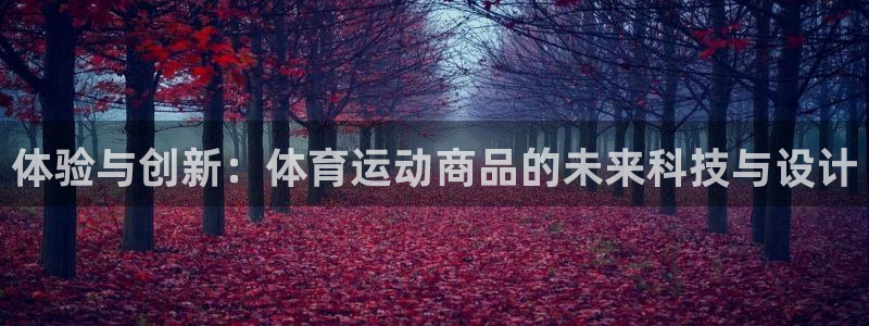三亿体育登录：体验与创新：体育运动商品的未来科技与设计